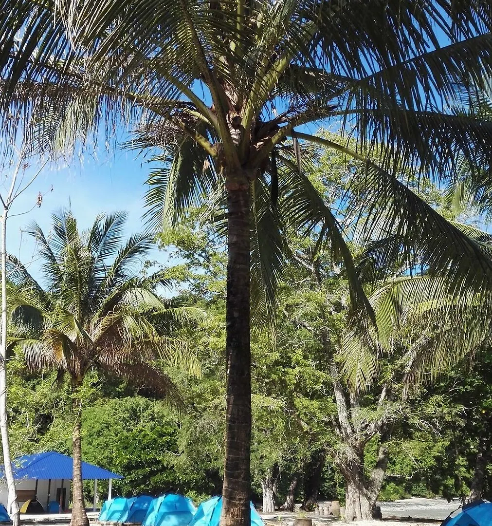 Tropical Eco Camping Langkawi