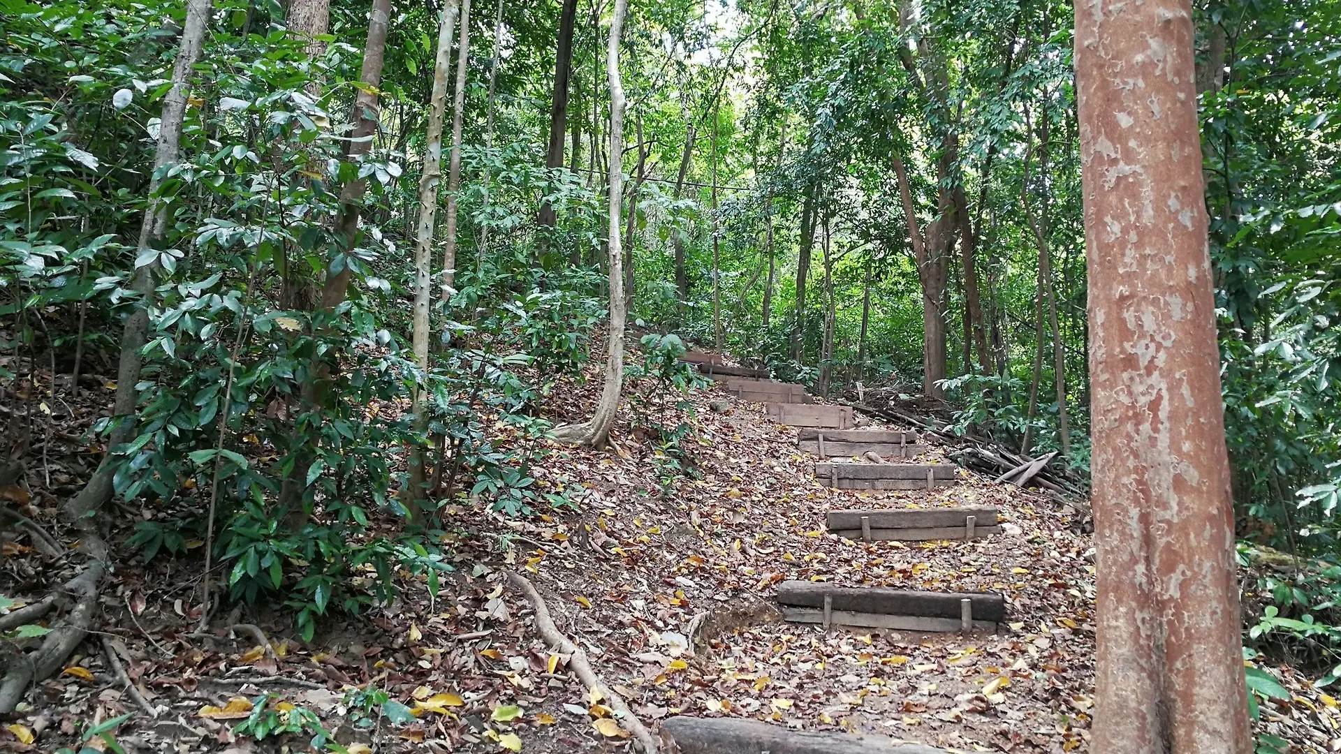 Tropical Eco Camping Langkawi Malásia